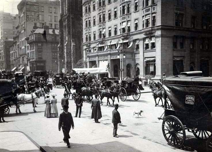 the Belmont Coach, 1905,.jpg